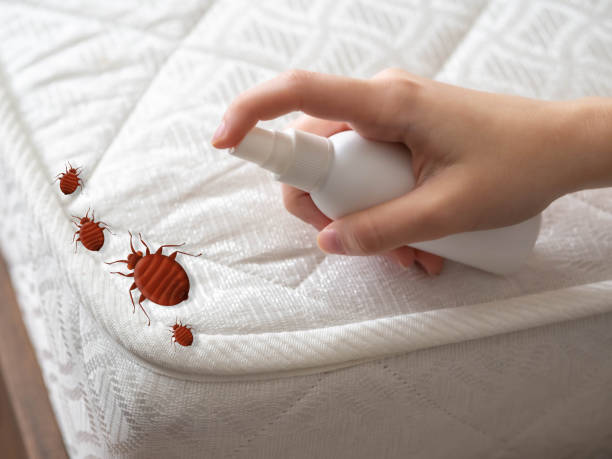Best Pest Control Near Me  in , MS