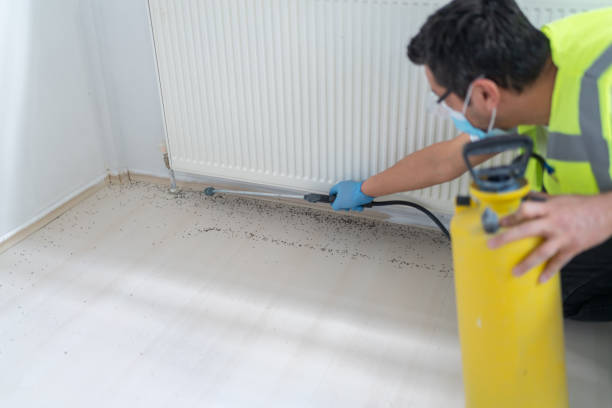 Best Best Pest Control Companies  in , MS